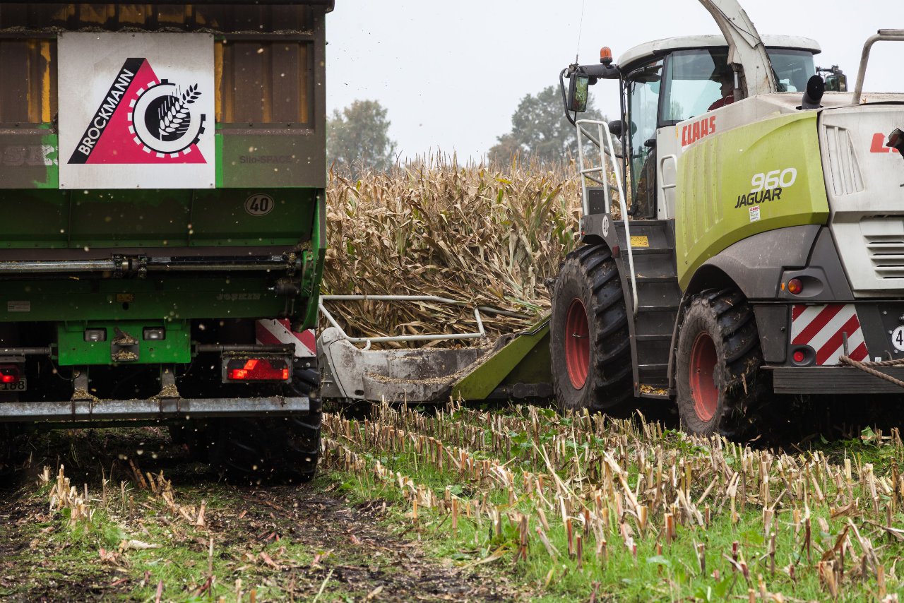 Bild 124 - Biogas am 21.10.12